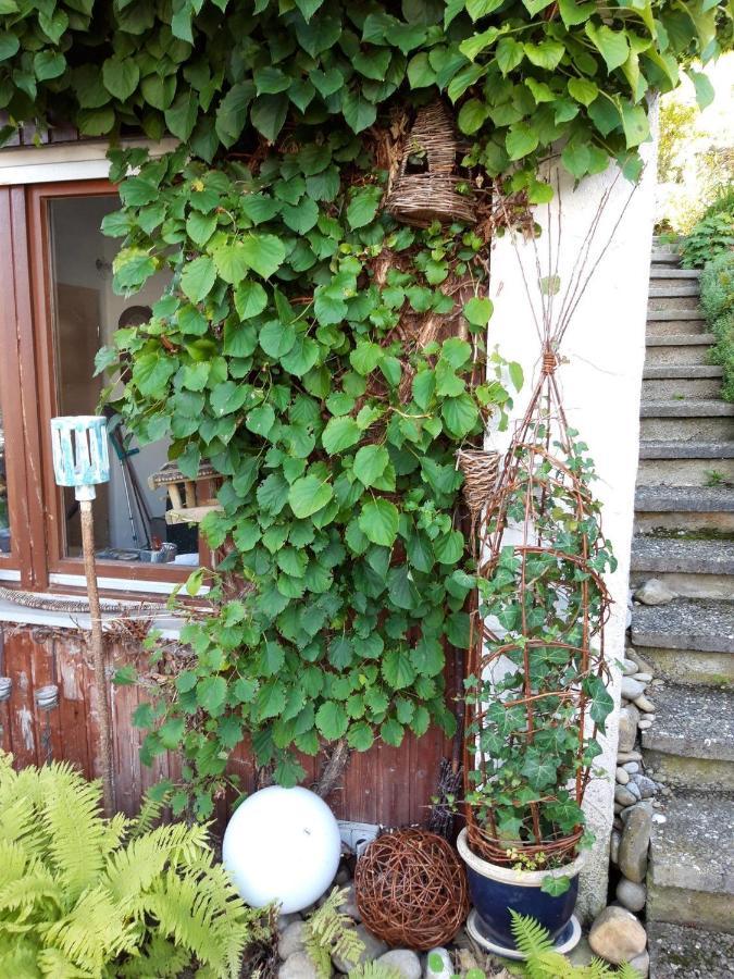Ferienwohnung Rosa Muller Wangen im Allgaeu Exterior photo